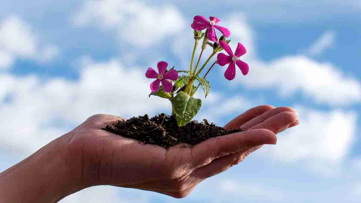 Growth and Development